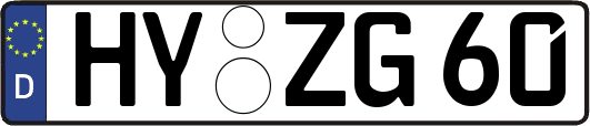 HY-ZG60