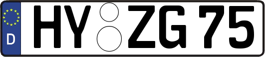 HY-ZG75