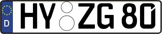 HY-ZG80
