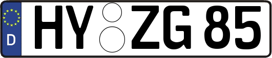 HY-ZG85