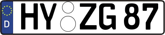 HY-ZG87
