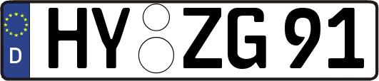 HY-ZG91