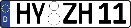 HY-ZH11
