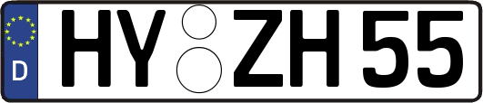 HY-ZH55