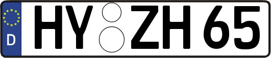 HY-ZH65