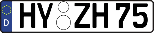HY-ZH75