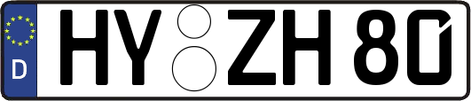 HY-ZH80