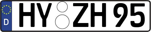 HY-ZH95