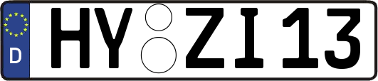 HY-ZI13