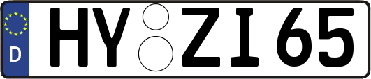 HY-ZI65