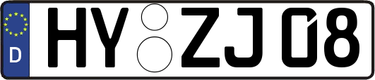 HY-ZJ08