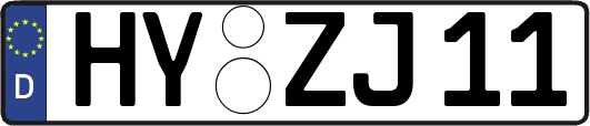 HY-ZJ11