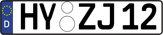 HY-ZJ12