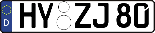 HY-ZJ80