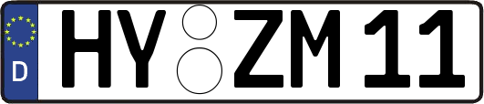 HY-ZM11