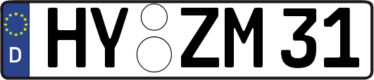 HY-ZM31