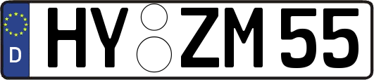 HY-ZM55