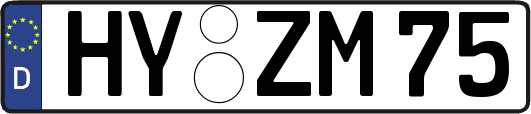 HY-ZM75