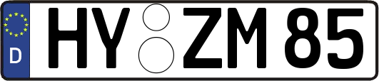HY-ZM85