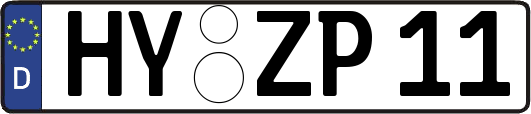 HY-ZP11