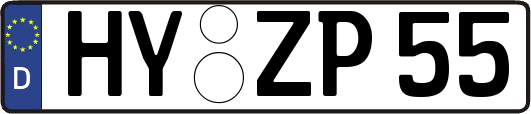 HY-ZP55
