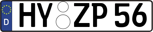 HY-ZP56