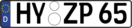 HY-ZP65