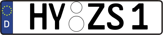HY-ZS1