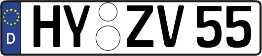 HY-ZV55
