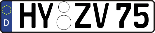 HY-ZV75