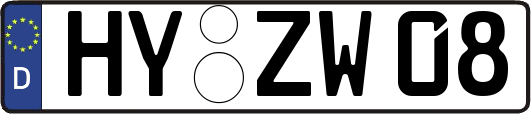 HY-ZW08