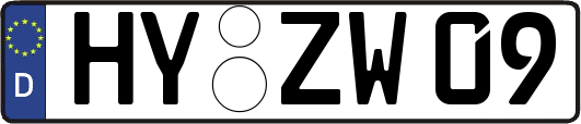 HY-ZW09