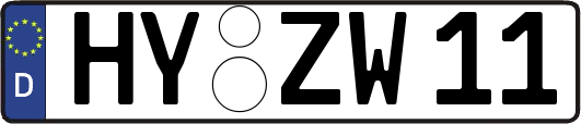 HY-ZW11