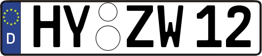HY-ZW12