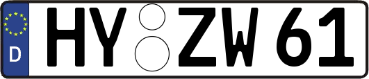 HY-ZW61