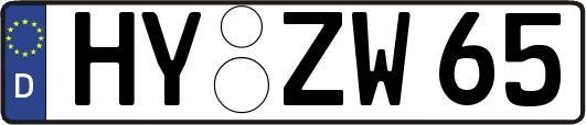 HY-ZW65
