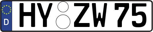 HY-ZW75