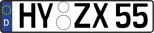 HY-ZX55