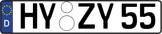 HY-ZY55