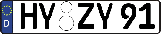 HY-ZY91