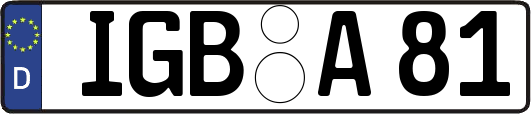 IGB-A81
