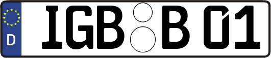 IGB-B01