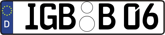 IGB-B06
