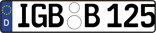 IGB-B125