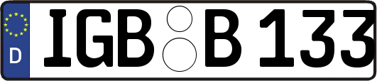 IGB-B133
