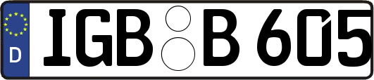 IGB-B605