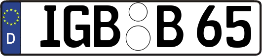 IGB-B65