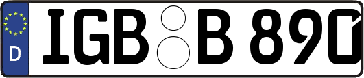 IGB-B890