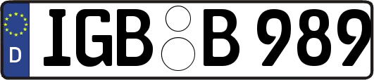 IGB-B989