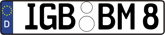 IGB-BM8